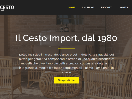 Progetto IlCesto Import dettaglio della Hero